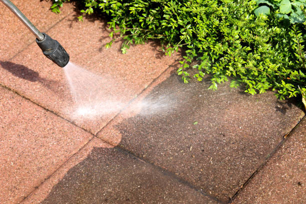 Best Residential Pressure Washing Services  in North Utica, IL